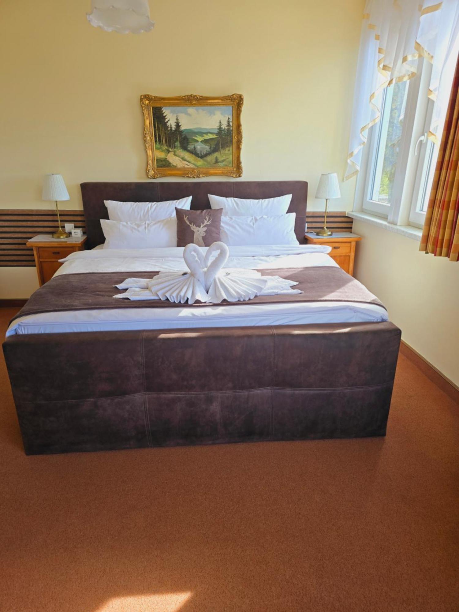 Hotel Elisabeth Ilse Braunlage Dış mekan fotoğraf