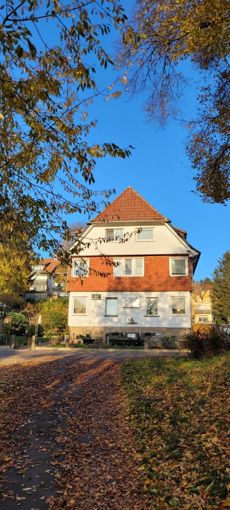 Hotel Elisabeth Ilse Braunlage Dış mekan fotoğraf